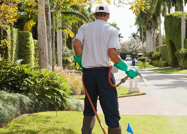 About Brooklin ME Pest Control